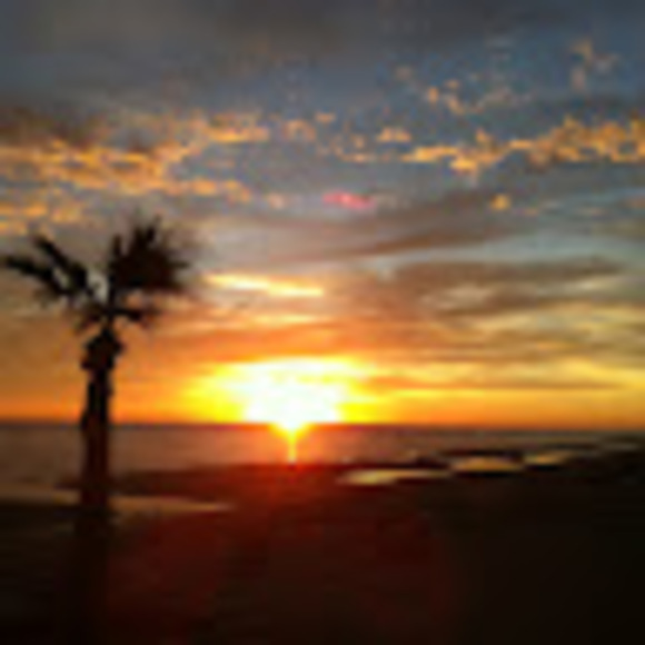 Meet your Posher, Elaine - Picture 1 of 1